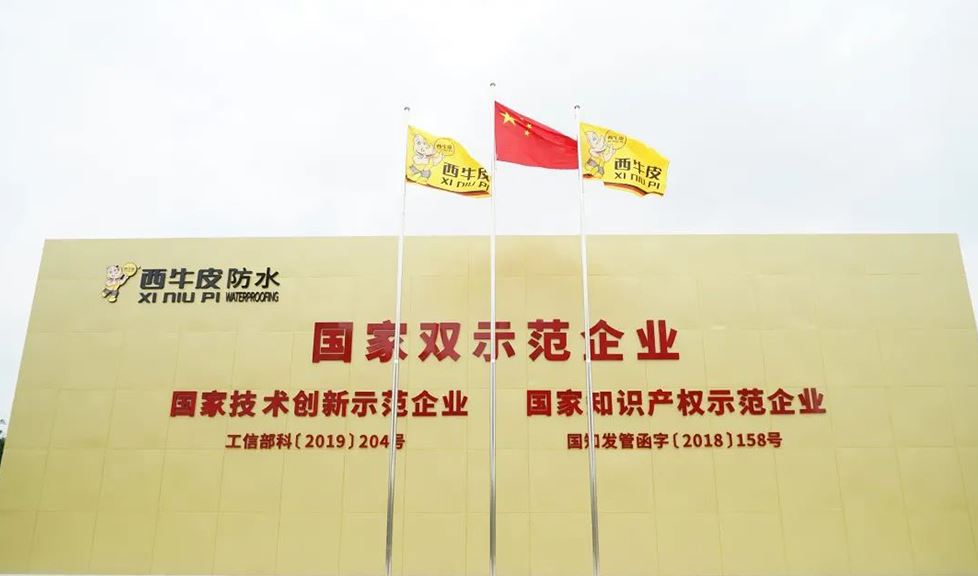 西牛皮副總經(jīng)理郭文雄 榮獲國家“企業(yè)知識產(chǎn)權(quán)工作先進(jìn)個人”