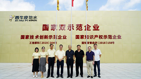 國家知識產(chǎn)權(quán)局知識產(chǎn)權(quán)發(fā)展研究中心一行走訪西牛皮防水，實地調(diào)研科技創(chuàng)新帶來的發(fā)展新成果