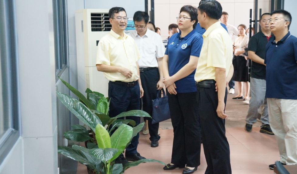 西牛皮防水科技園迎來南寧市政府領(lǐng)導(dǎo)一行