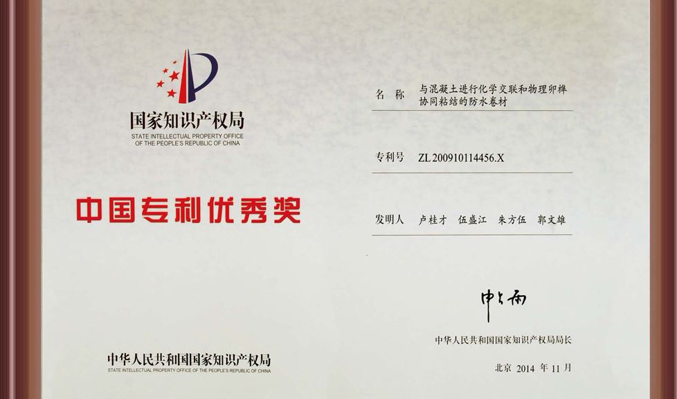 【企業(yè)榮譽(yù)】廣西壯族自治區(qū)黨委書記彭清華為金雨傘頒發(fā)中國專利優(yōu)秀獎