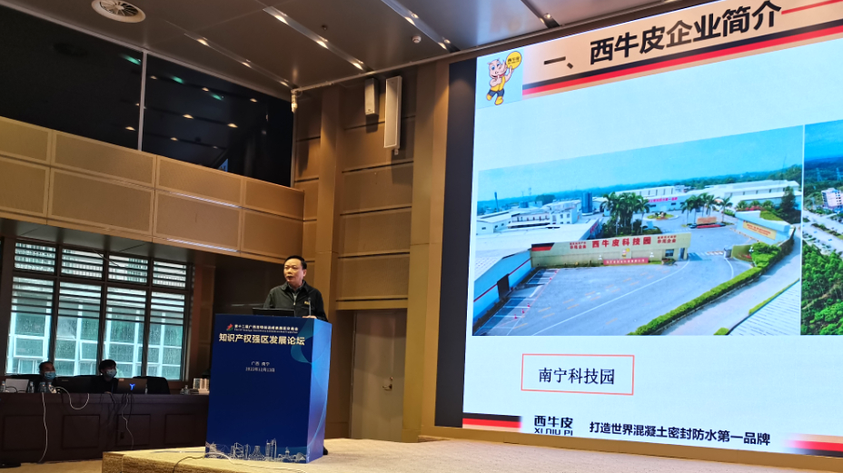  西牛皮分享“國家知識產(chǎn)權(quán)示范企業(yè)”先進(jìn)管理經(jīng)驗(yàn)，為推動(dòng)廣西知識產(chǎn)權(quán)強(qiáng)區(qū)建設(shè)貢獻(xiàn)力量