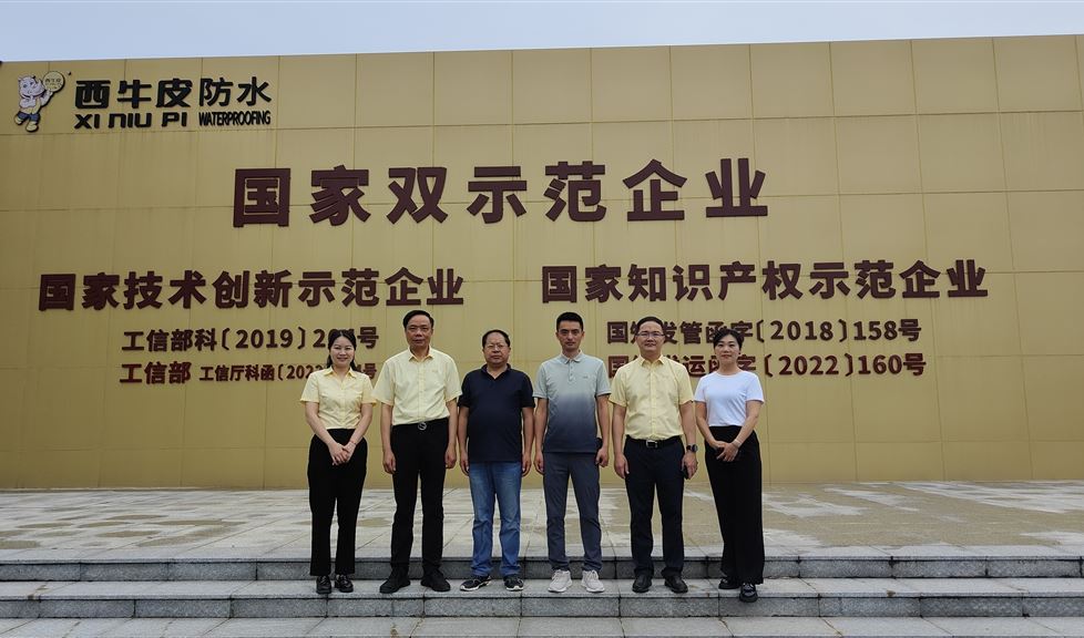 西牛皮防水（欽州）科技園迎來陜西澳林房地產(chǎn)開發(fā)有限公司總經(jīng)理唐西宏一行